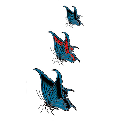 �^�g�D�[�V�[���@���R
