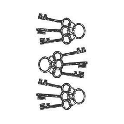 �^�g�D�[�V�[���@�J�M�P