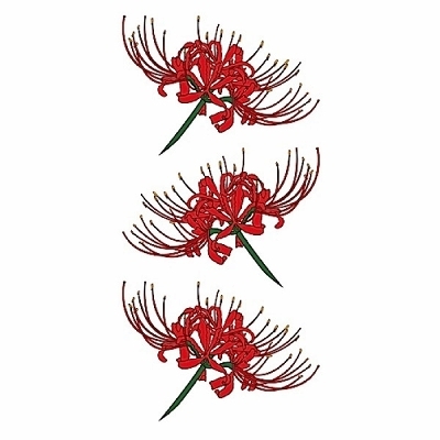 �^�g�D�[�V�[���@�֎썹��