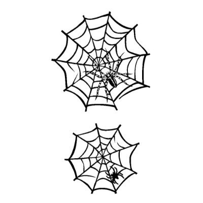 �^�g�D�[�V�[���@�w偂̑�