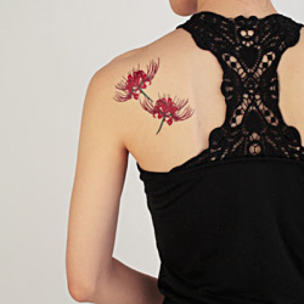 �^�g�D�[�V�[���@�֎썹��