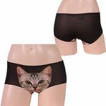 �L���b�g�v�����g���[���C�Y�{�N�T�[�@�u���b�N(�����W�F���[)