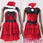 �O�i�t�����T���^�@�a�h�f(�R�X�v���ߑ�)