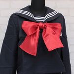 �T�e���X�N�[���X�J�[�t�P�i�@��(�R�X�v���ߑ�)