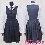 �������q������эZ�̐����i���~���j�@�a�h�f(�R�X�v���ߑ�)