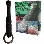 �A�i�X�e�B�b�N�f�B�[�v�@�i�\���b�h�j(�A�i��)