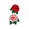 �^�g�D�[�V�[���@��^�E�ԉ��O