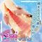 �h�X�P�x�R�o���Ɠ��ւ��r�d�w�@�i�O���@仉��ށj