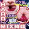 �c�{�~�b�N�X
